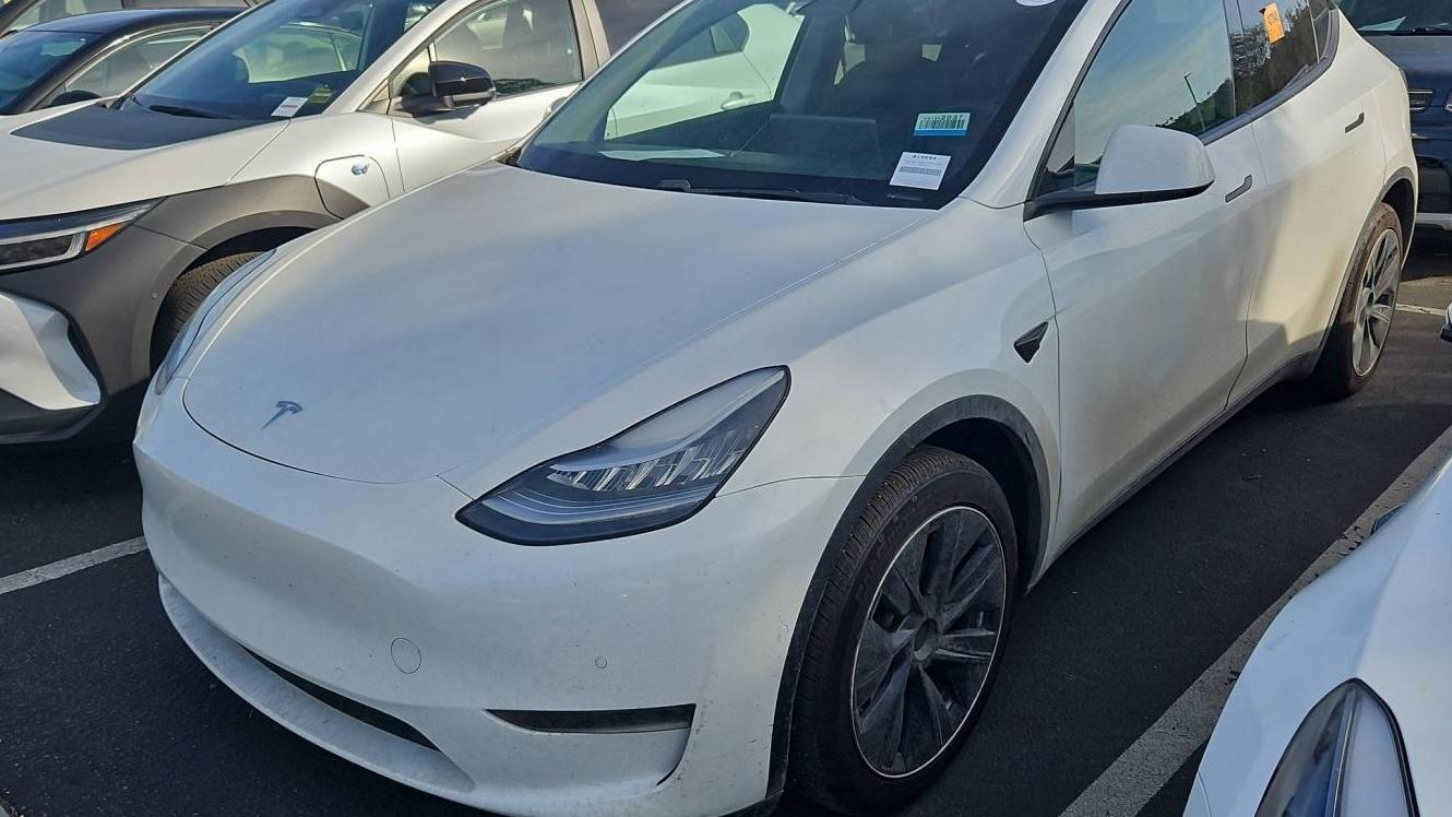 TESLA MODEL Y 2020 5YJYGDEE2LF015227 image